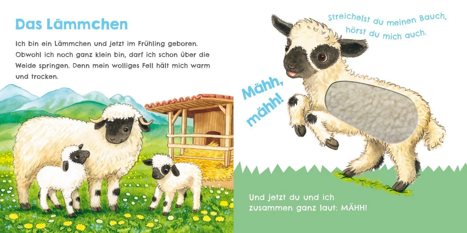 Bild: 9783551256096 | Hör mal, wie ich knabbern kann (Mein erstes Streichel-Soundbuch 5)