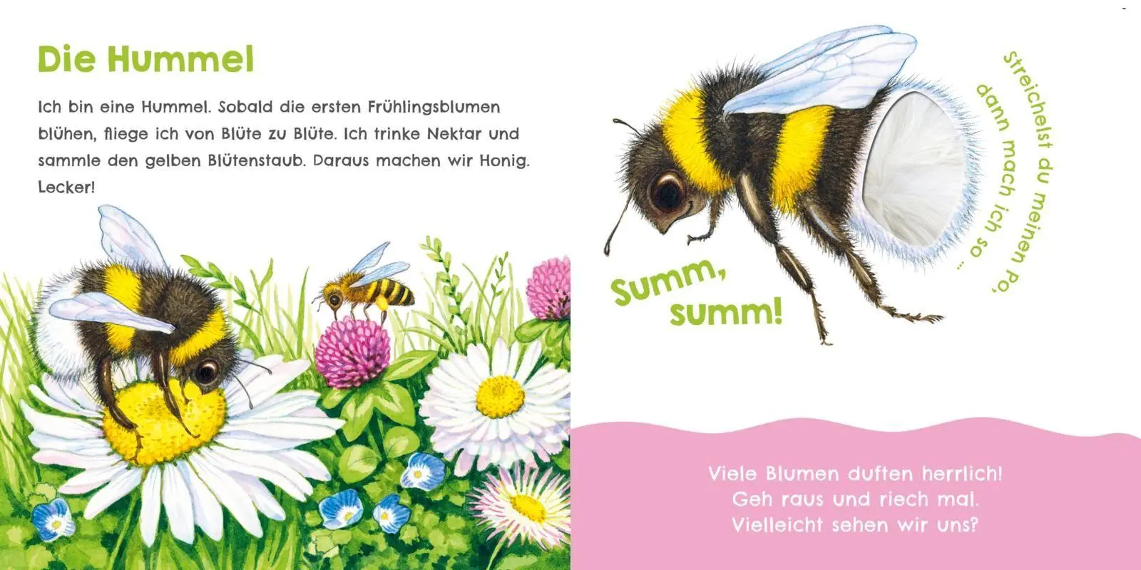 Bild: 9783551256096 | Hör mal, wie ich knabbern kann (Mein erstes Streichel-Soundbuch 5)