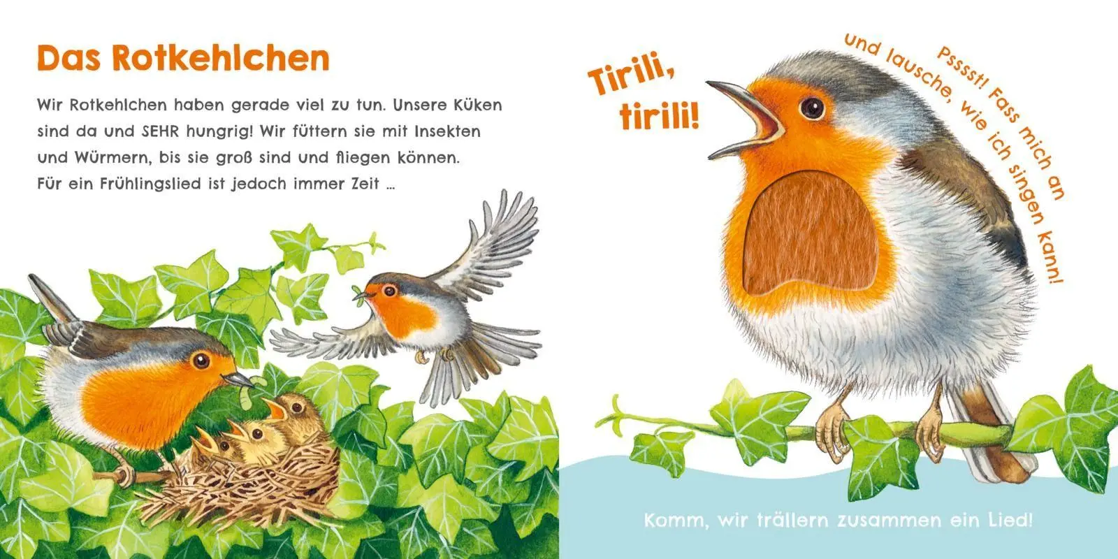 Bild: 9783551256096 | Hör mal, wie ich knabbern kann (Mein erstes Streichel-Soundbuch 5)