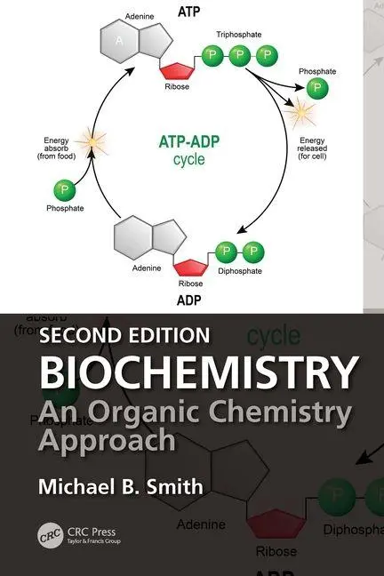 Cover: 9781032996196 | Biochemistry | An Organic Chemistry Approach | Michael B. Smith | Buch
