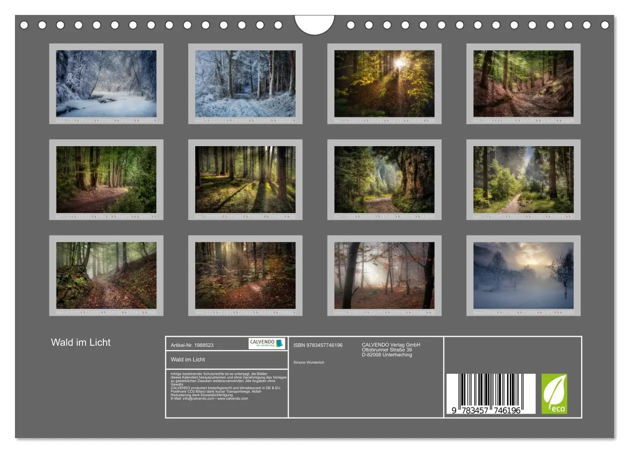 Bild: 9783457746196 | Wald im Licht (Wandkalender 2026 DIN A4 quer), CALVENDO Monatskalender