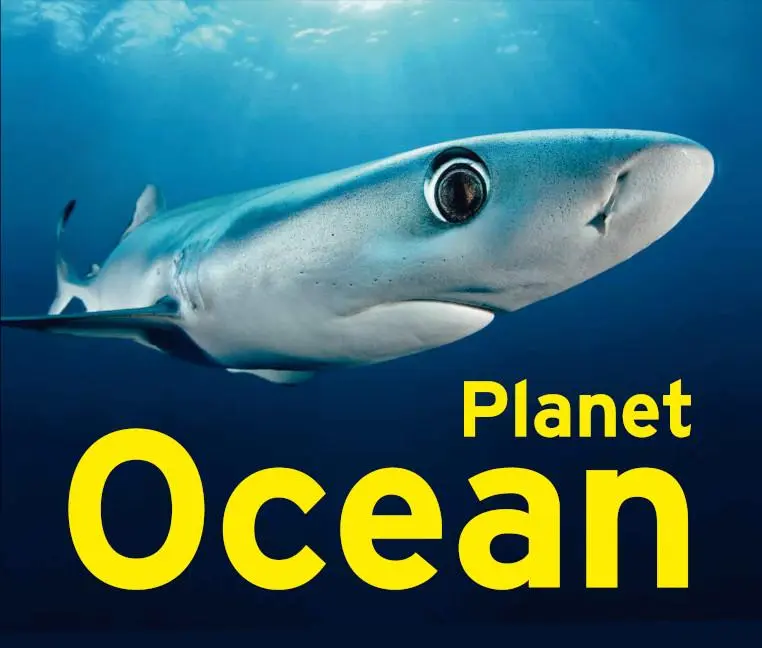 Cover: 9783837526196 | Planet Ocean | exhibition catalogue | Jeanette Schmitz | Buch | 176 S.