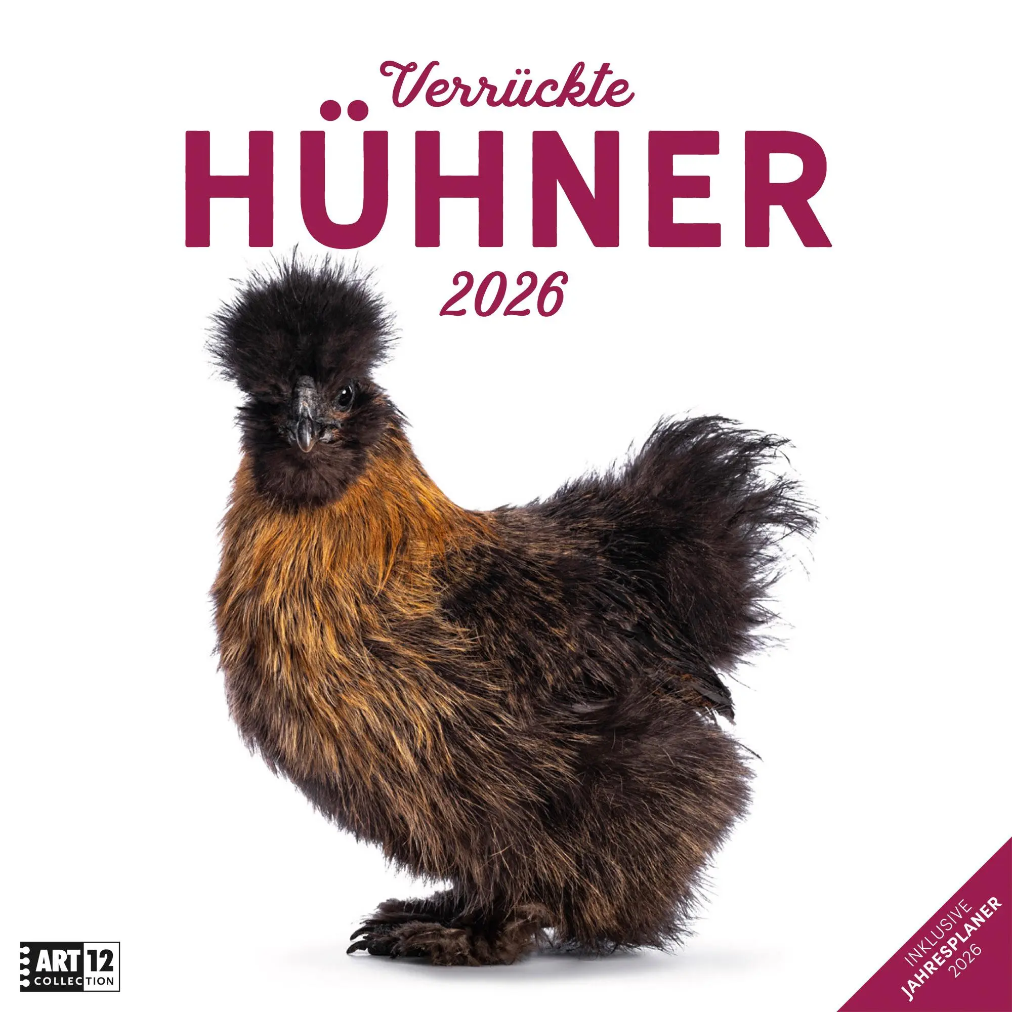 Cover: 9783838446196 | Verrückte Hühner Kalender 2026 - 30x30 | Ackermann Kunstverlag GmbH