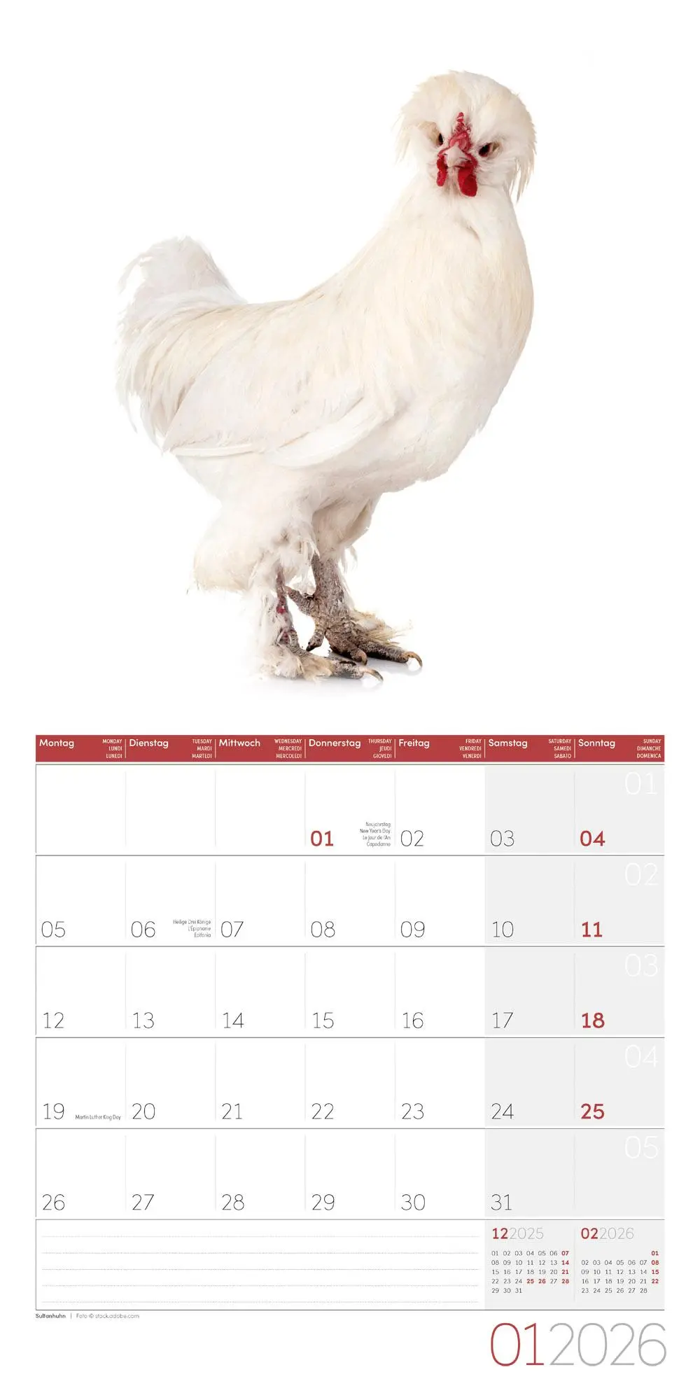Bild: 9783838446196 | Verrückte Hühner Broschürenkalender 2026 - 30x30 - Art12 | GmbH | 2026