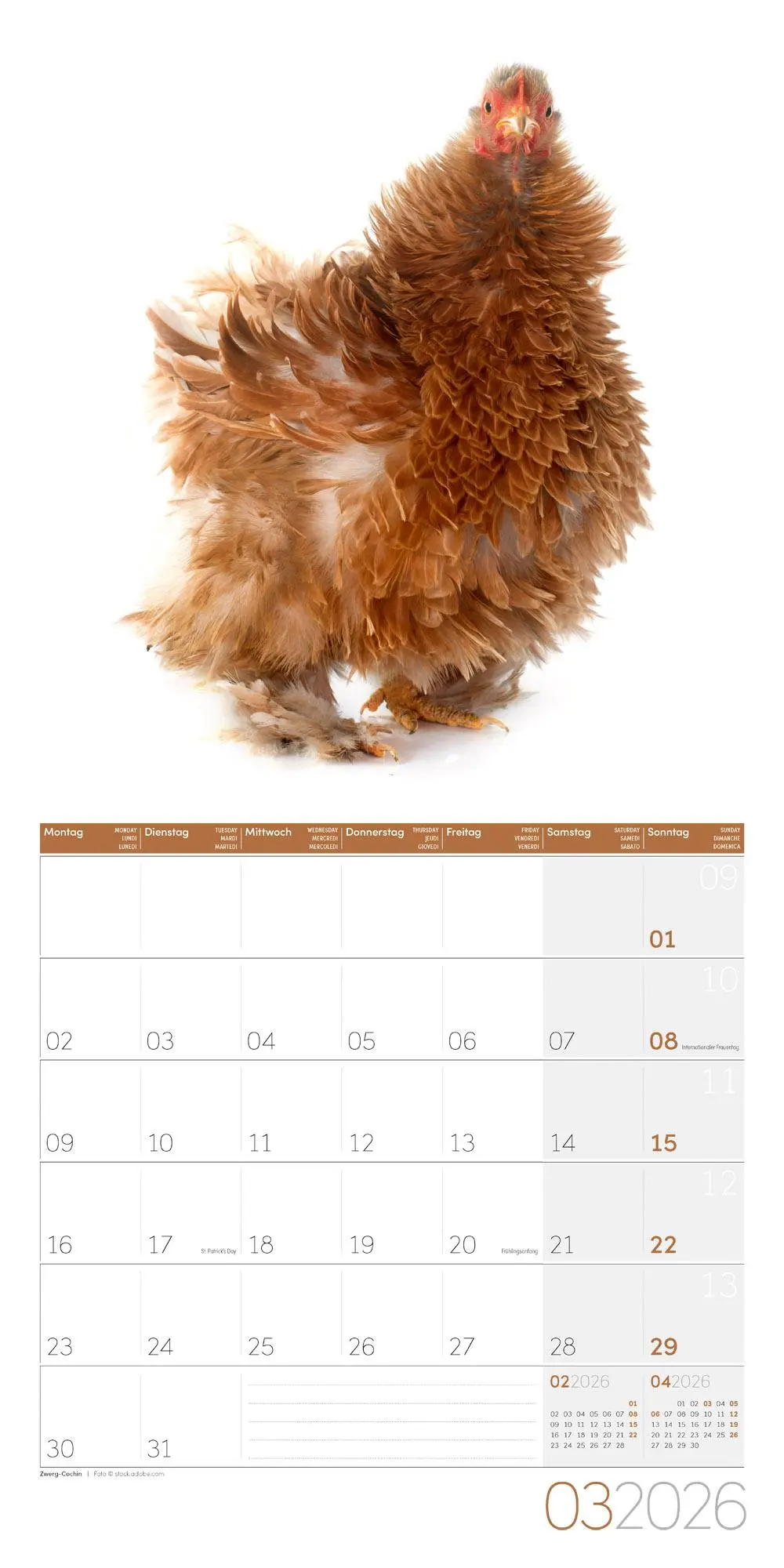 Bild: 9783838446196 | Verrückte Hühner Broschürenkalender 2026 - 30x30 - Art12 | GmbH | 2026