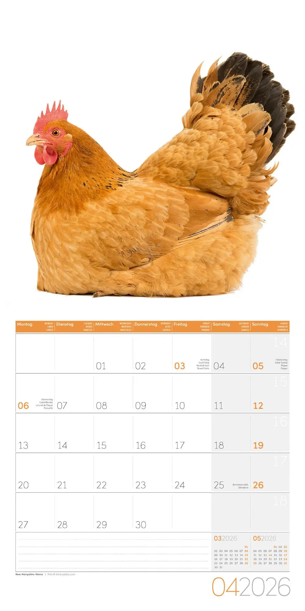 Bild: 9783838446196 | Verrückte Hühner Broschürenkalender 2026 - 30x30 - Art12 | GmbH | 2026