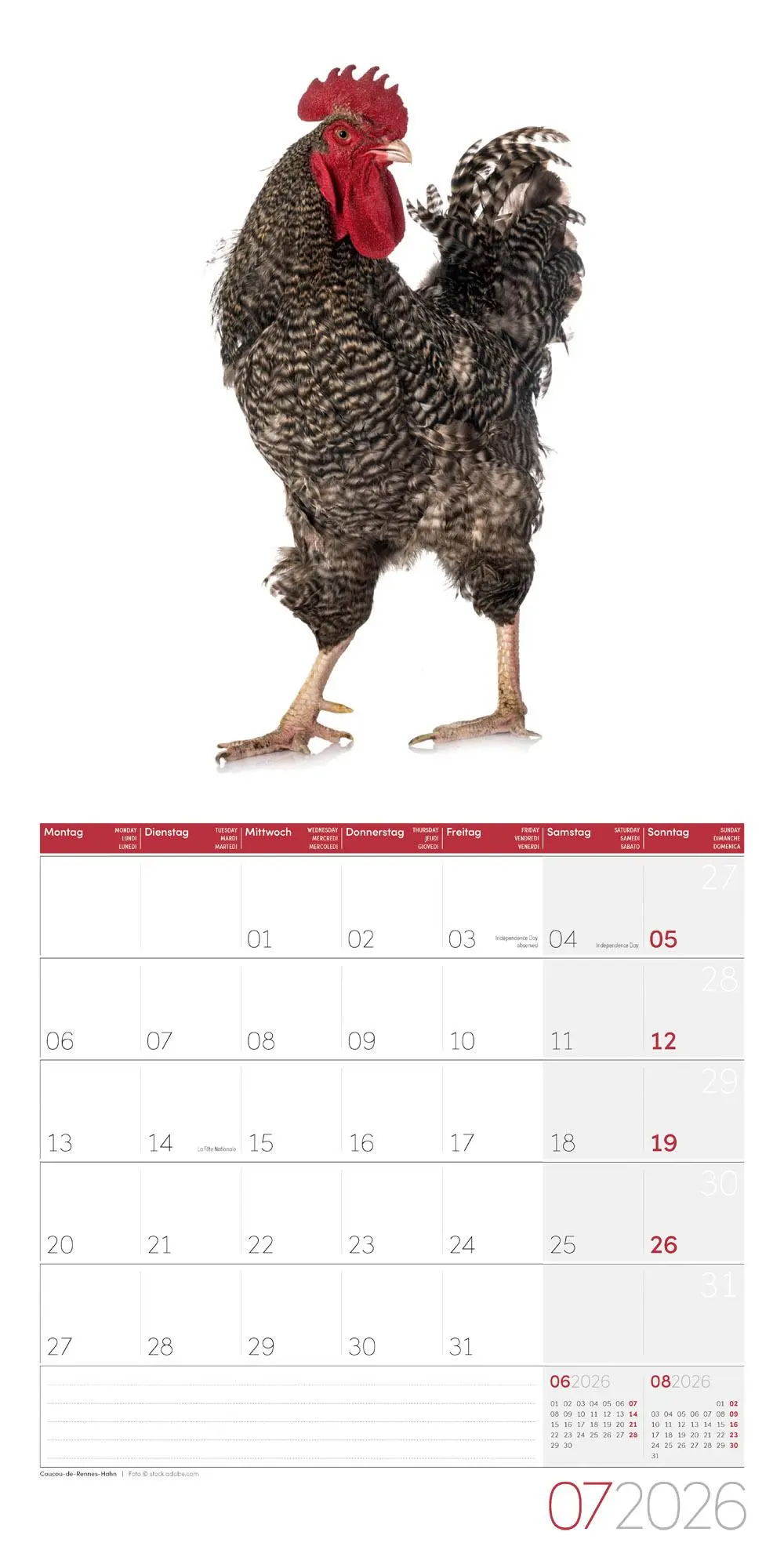 Bild: 9783838446196 | Verrückte Hühner Broschürenkalender 2026 - 30x30 - Art12 | GmbH | 2026