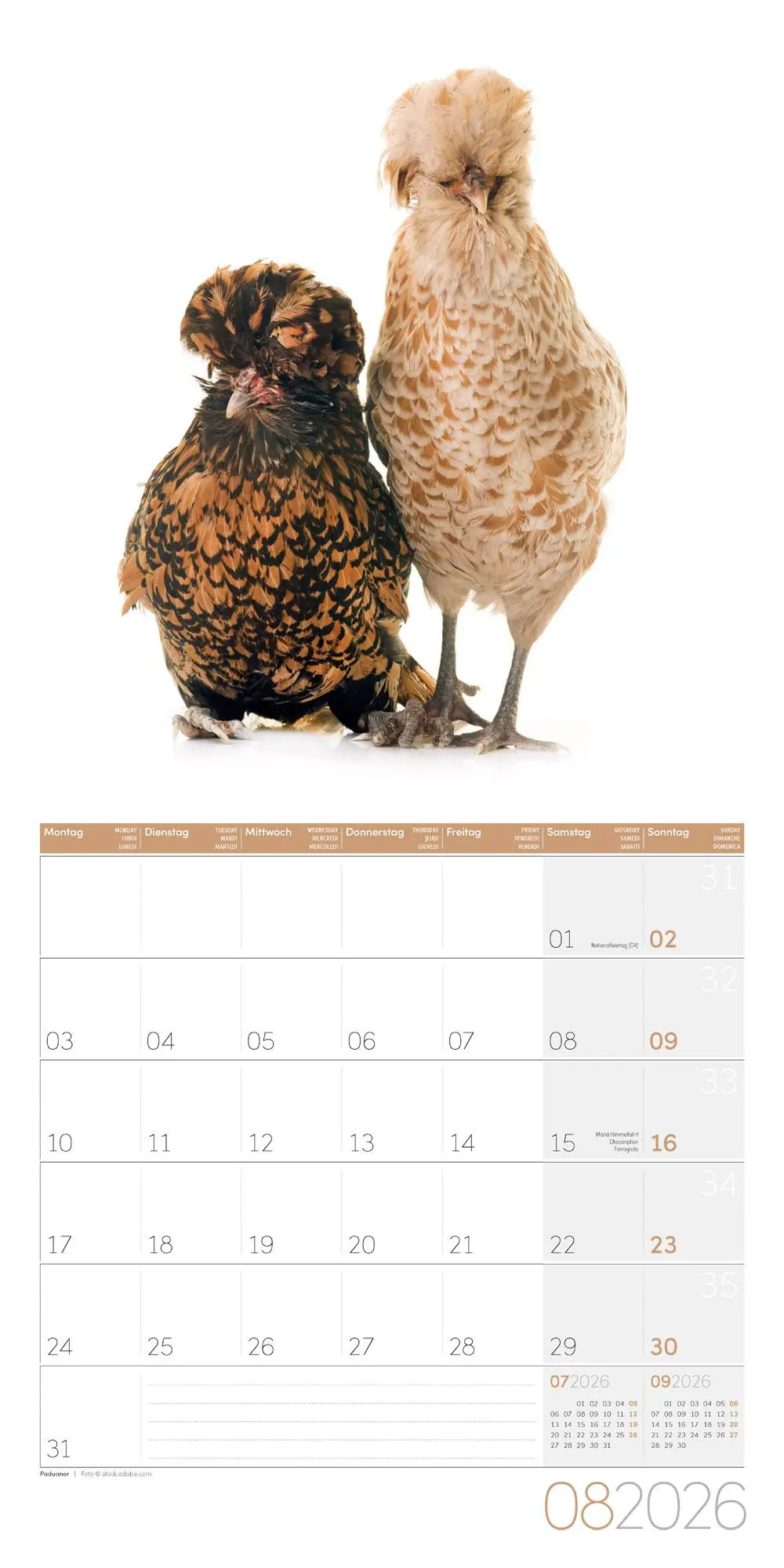 Bild: 9783838446196 | Verrückte Hühner Broschürenkalender 2026 - 30x30 - Art12 | GmbH | 2026
