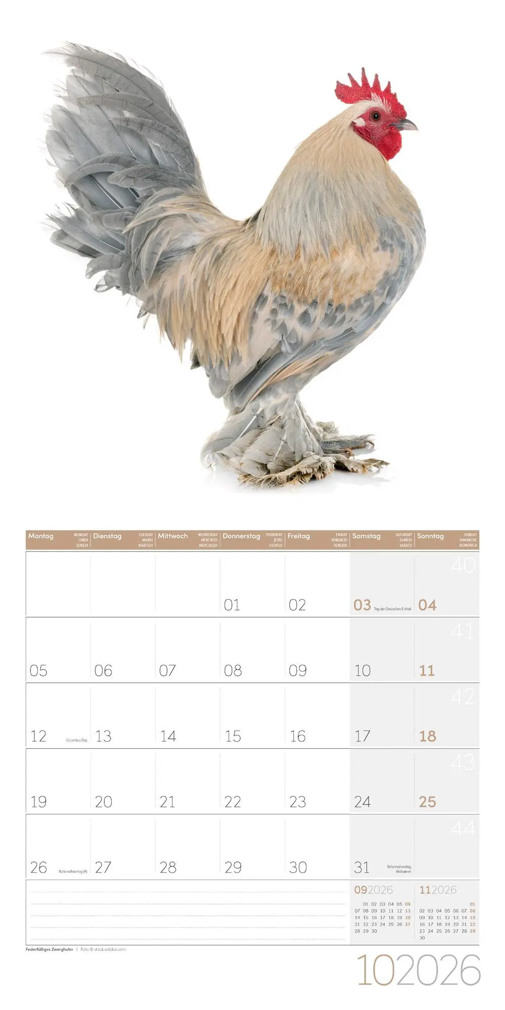 Bild: 9783838446196 | Verrückte Hühner Broschürenkalender 2026 - 30x30 - Art12 | GmbH | 2026