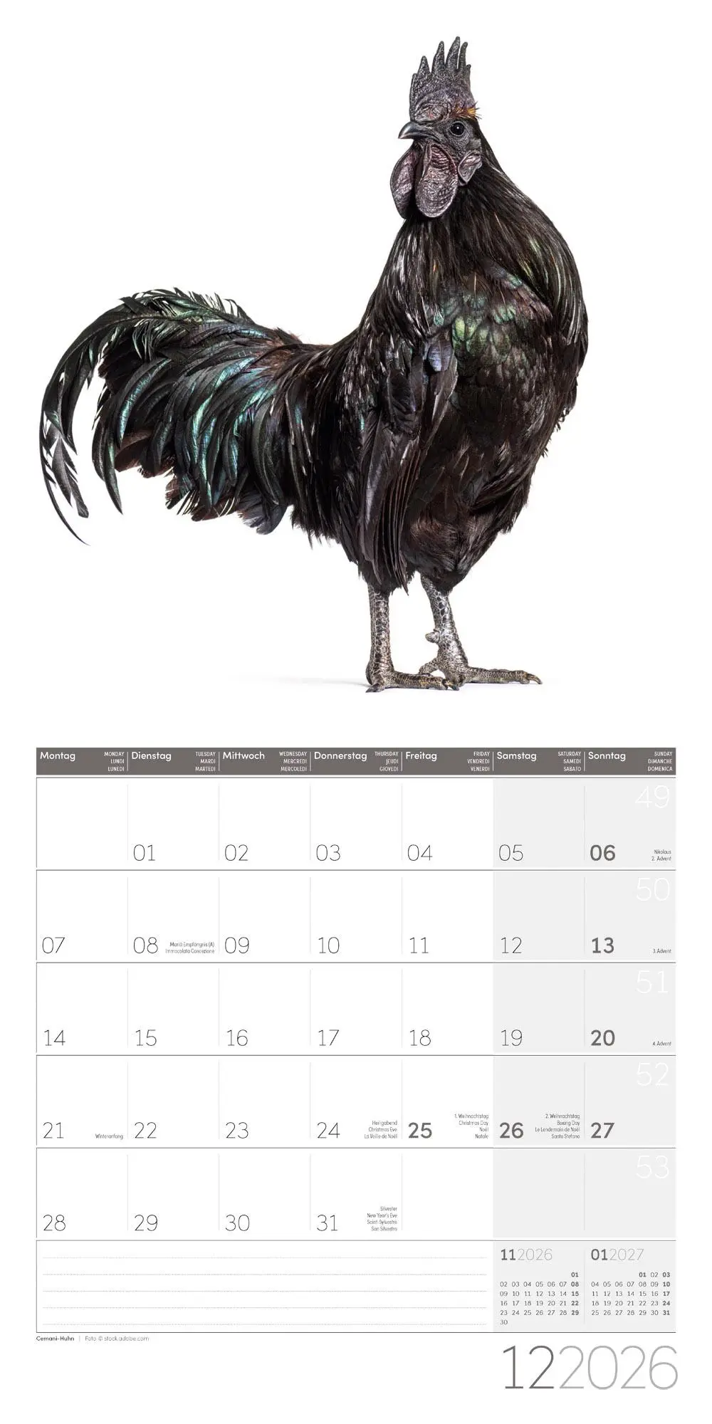 Bild: 9783838446196 | Verrückte Hühner Broschürenkalender 2026 - 30x30 - Art12 | GmbH | 2026