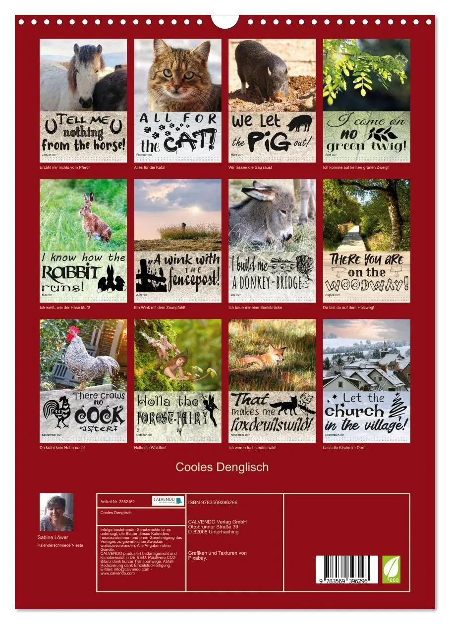 Bild: 9783569396296 | Cooles Denglisch (Wandkalender 2027 DIN A3 hoch), CALVENDO...