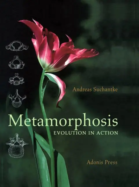 Cover: 9780932776396 | Metamorphosis | Evolution in Action | Andreas Suchantke | Buch | 2011