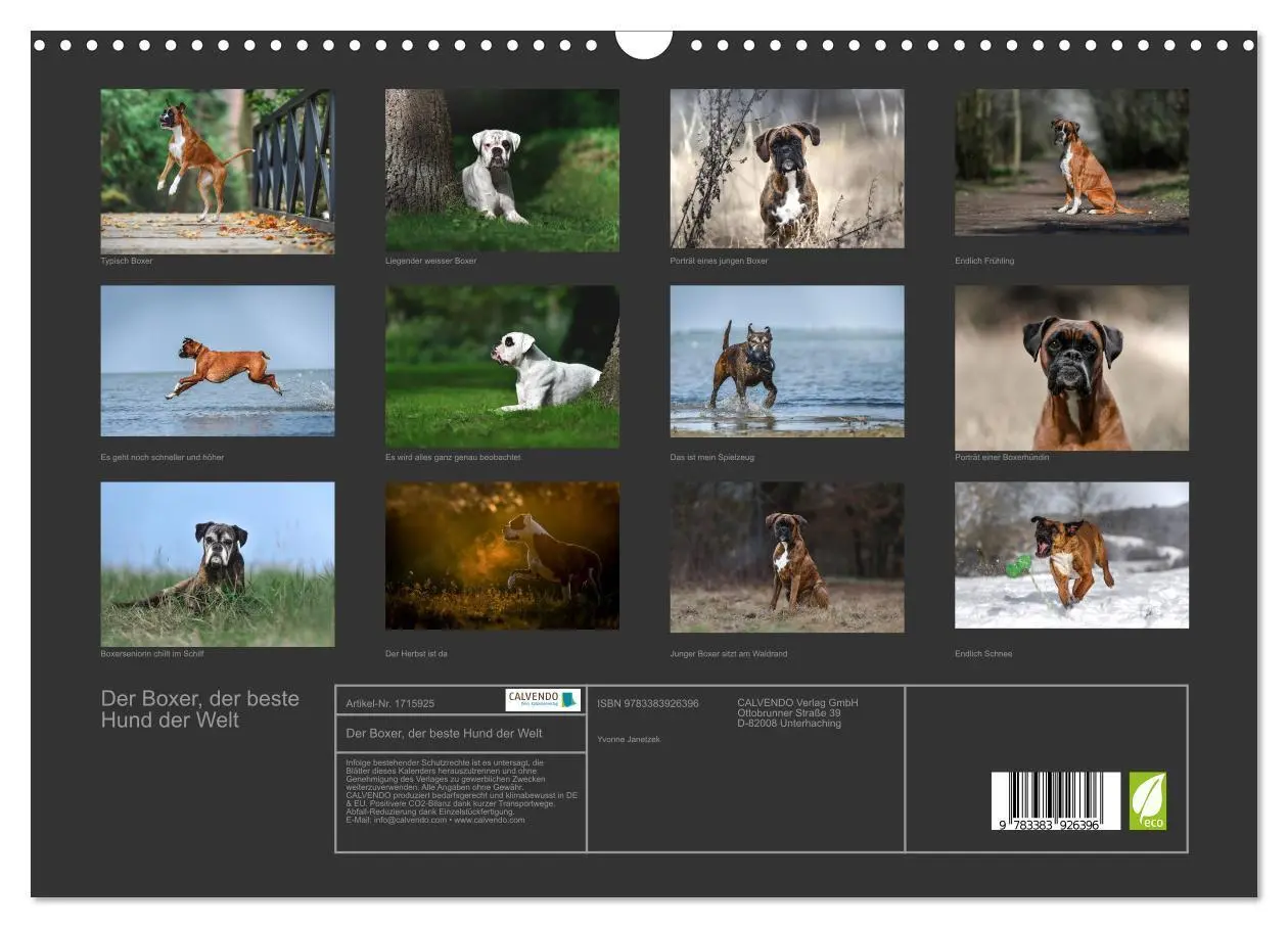 Bild: 9783383926396 | Der Boxer, der beste Hund der Welt (Wandkalender 2025 DIN A3 quer),...