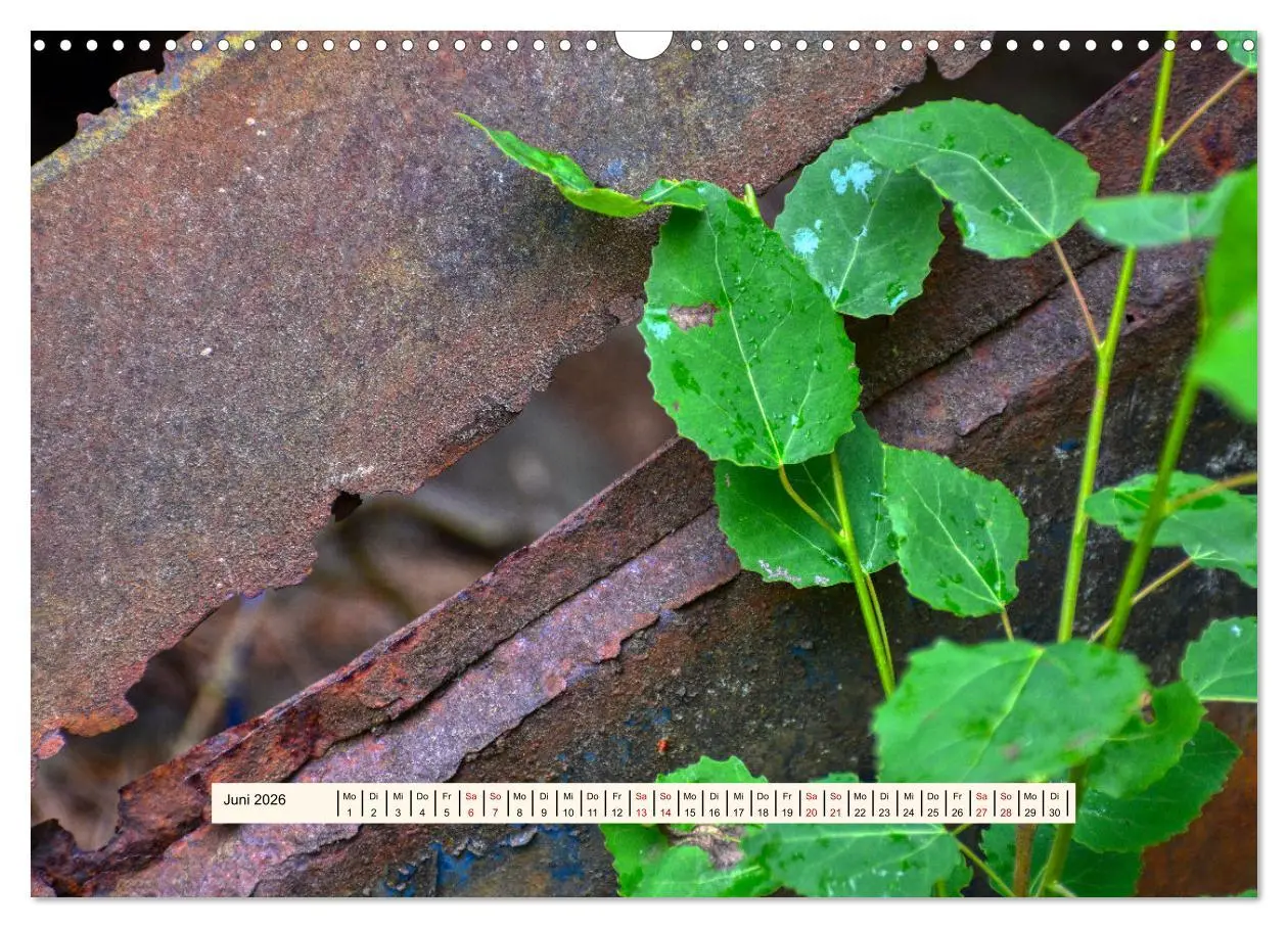 Bild: 9783457276396 | Autowracks - Verlorener Glanz 2026 (Wandkalender 2026 DIN A3 quer),...