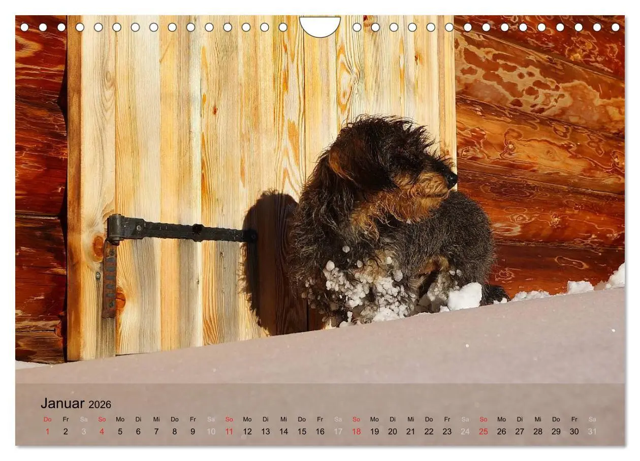 Bild: 9783516056396 | Liebenswerte Clowns (Wandkalender 2026 DIN A4 quer), CALVENDO...