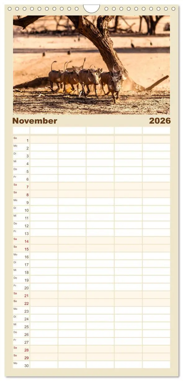 Bild: 9783516506396 | Familienplaner 2026 - Namibia - Ein Paradies auf Erden. mit 5...