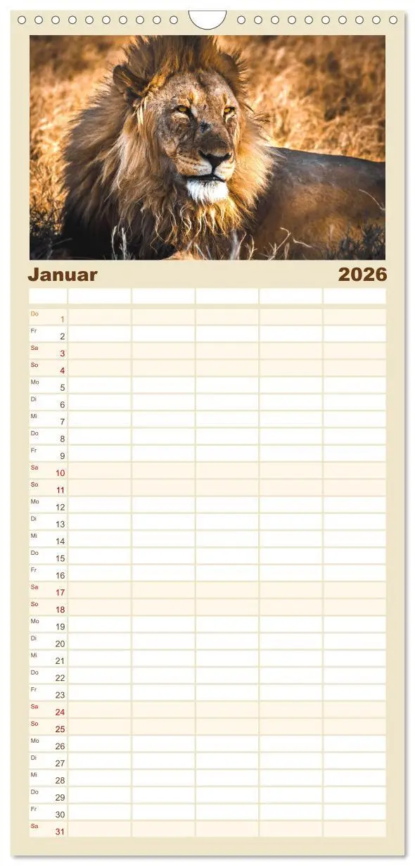 Bild: 9783516506396 | Familienplaner 2026 - Namibia - Ein Paradies auf Erden. mit 5...