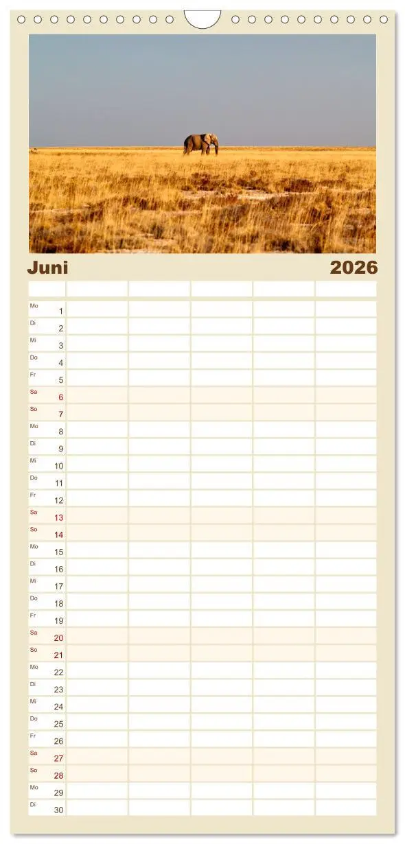 Bild: 9783516506396 | Familienplaner 2026 - Namibia - Ein Paradies auf Erden. mit 5...