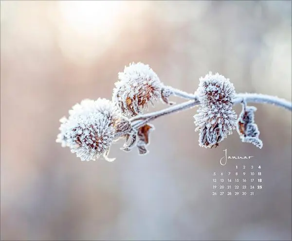 Bild: 9783731886396 | Zauberhafte kleine Welten 2026 | Verlag Korsch | Kalender | 14 S.