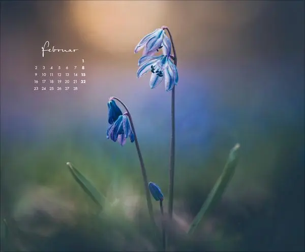 Bild: 9783731886396 | Zauberhafte kleine Welten 2026 | Verlag Korsch | Kalender | 14 S.