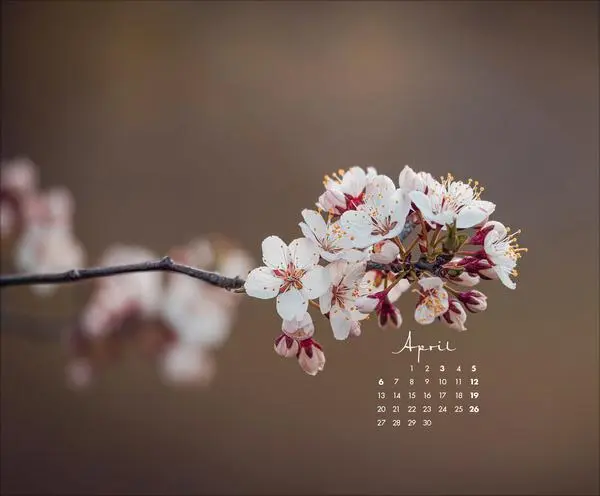 Bild: 9783731886396 | Zauberhafte kleine Welten 2026 | Verlag Korsch | Kalender | 14 S.