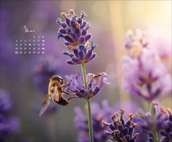 Bild: 9783731886396 | Zauberhafte kleine Welten 2026 | Verlag Korsch | Kalender | 14 S.