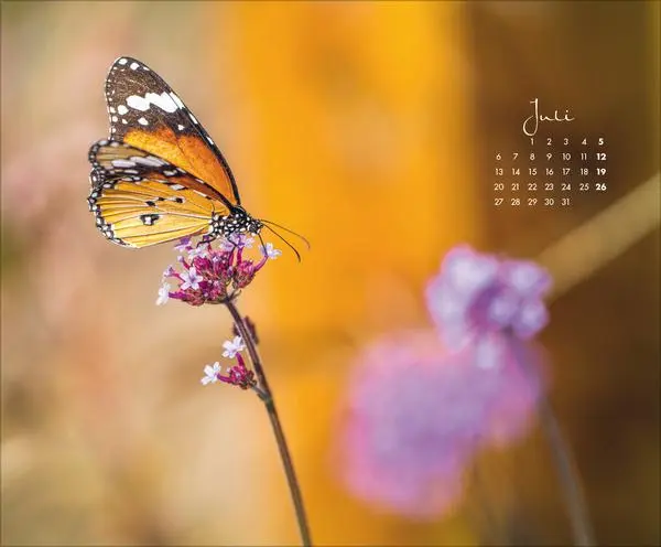 Bild: 9783731886396 | Zauberhafte kleine Welten 2026 | Verlag Korsch | Kalender | 14 S.