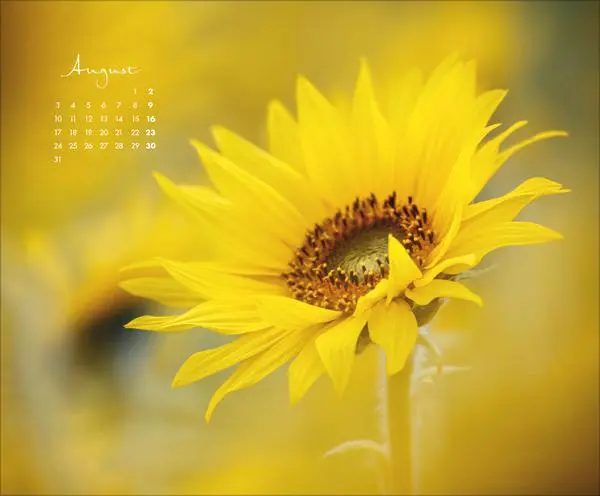 Bild: 9783731886396 | Zauberhafte kleine Welten 2026 | Verlag Korsch | Kalender | 14 S.