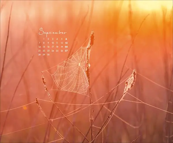 Bild: 9783731886396 | Zauberhafte kleine Welten 2026 | Verlag Korsch | Kalender | 14 S.
