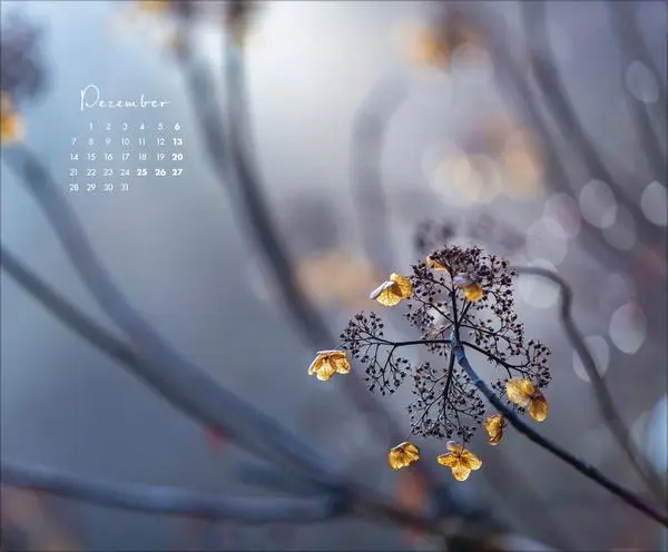 Bild: 9783731886396 | Zauberhafte kleine Welten 2026 | Verlag Korsch | Kalender | 14 S.