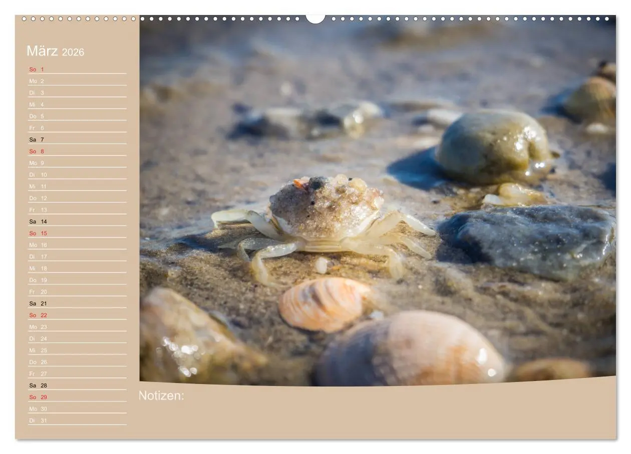 Bild: 9783457886496 | Hooksiel im Friesland (Wandkalender 2026 DIN A2 quer), CALVENDO...