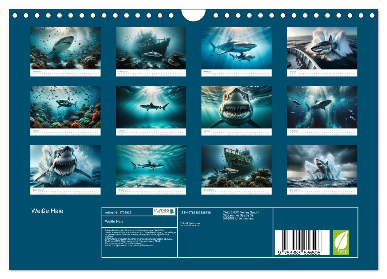 Bild: 9783383836596 | Weiße Haie (Wandkalender 2025 DIN A4 quer), CALVENDO Monatskalender