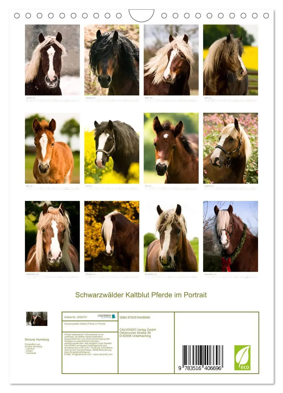 Bild: 9783516406696 | Schwarzwälder Kaltblut Pferde im Portrait (Wandkalender 2026 DIN A4...