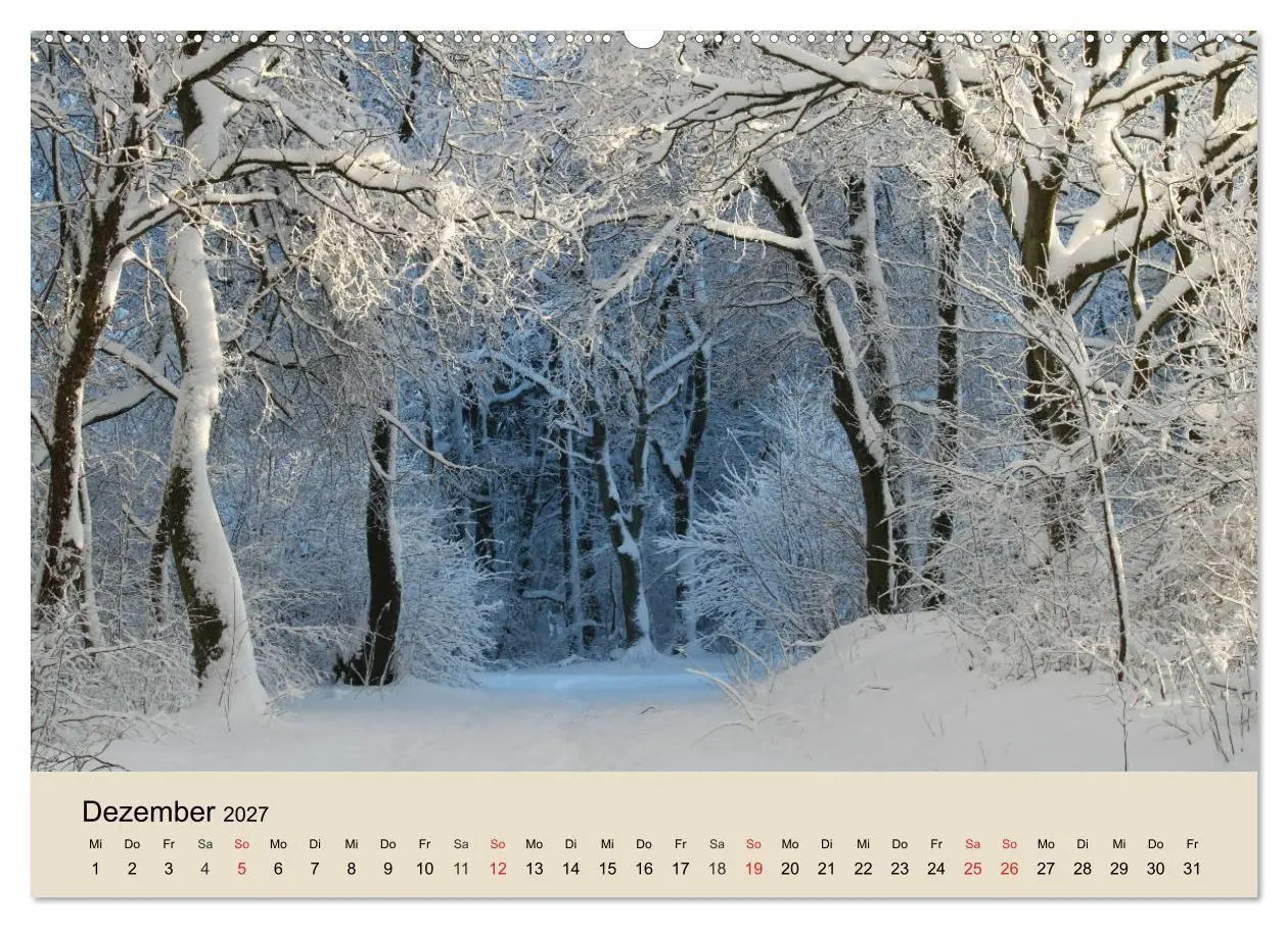 Bild: 9783569736696 | Der Wald. Durch zauberhafte Waldlandschaften (Wandkalender 2027 DIN...