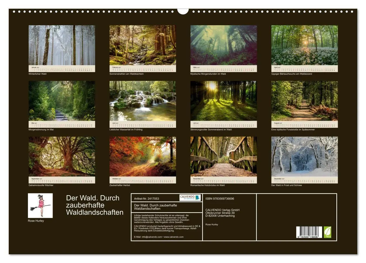 Bild: 9783569736696 | Der Wald. Durch zauberhafte Waldlandschaften (Wandkalender 2027 DIN...