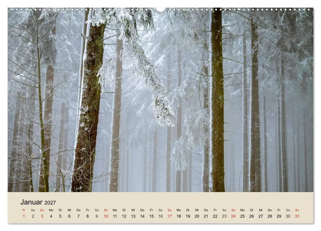 Bild: 9783569736696 | Der Wald. Durch zauberhafte Waldlandschaften (Wandkalender 2027 DIN...