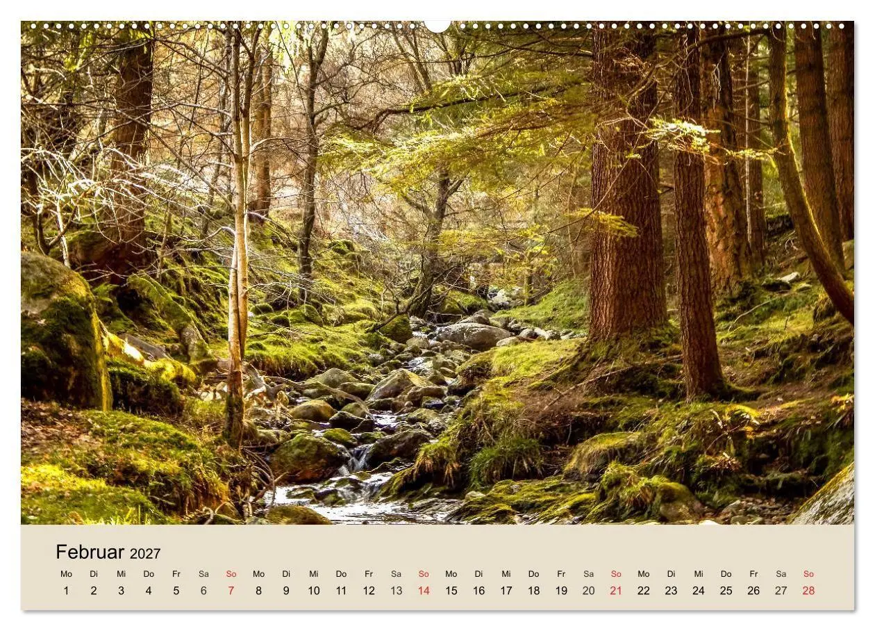 Bild: 9783569736696 | Der Wald. Durch zauberhafte Waldlandschaften (Wandkalender 2027 DIN...