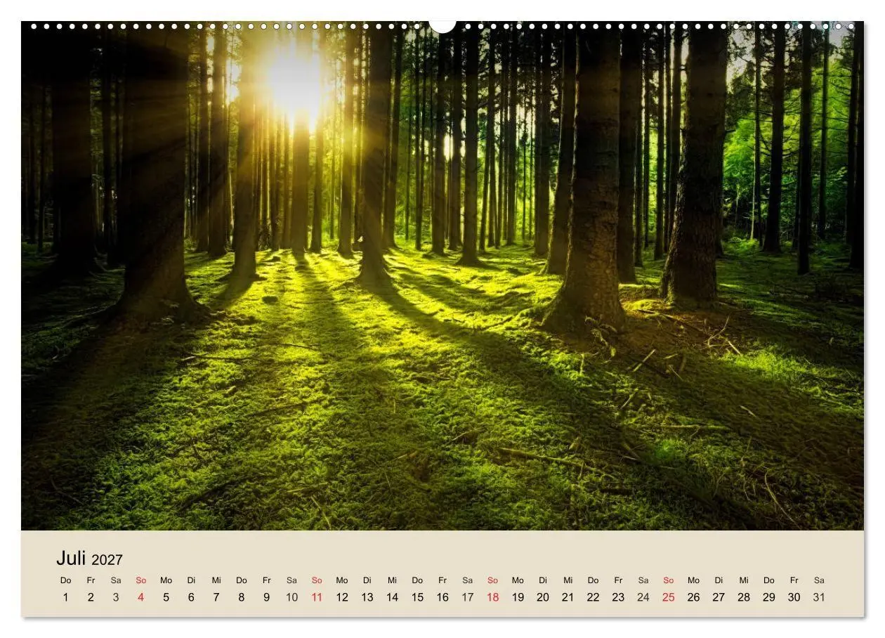 Bild: 9783569736696 | Der Wald. Durch zauberhafte Waldlandschaften (Wandkalender 2027 DIN...