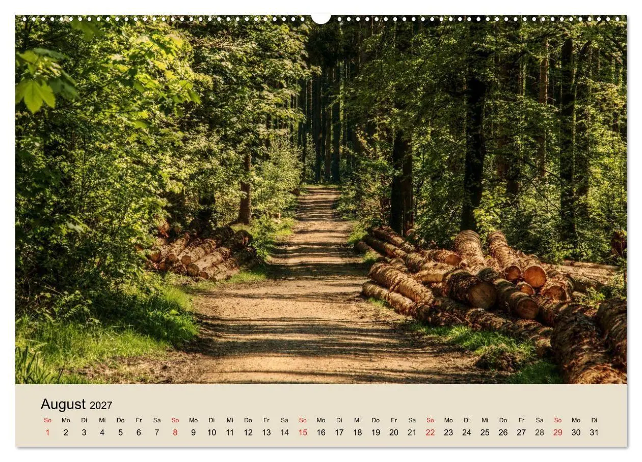 Bild: 9783569736696 | Der Wald. Durch zauberhafte Waldlandschaften (Wandkalender 2027 DIN...