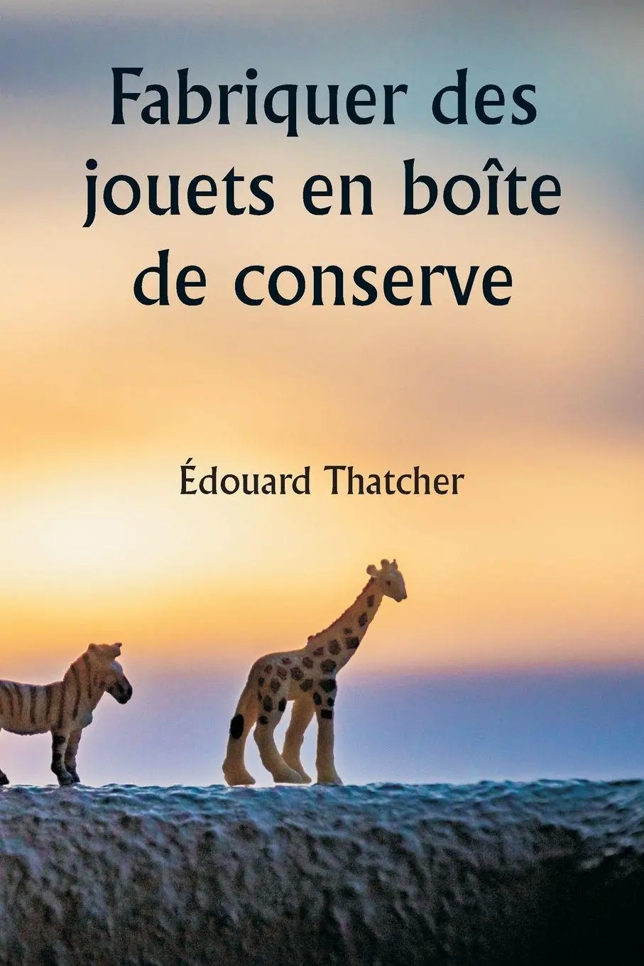 Cover: 9789359256696 | Fabriquer des jouets en boîte de conserve | Édouard Thatcher | Buch