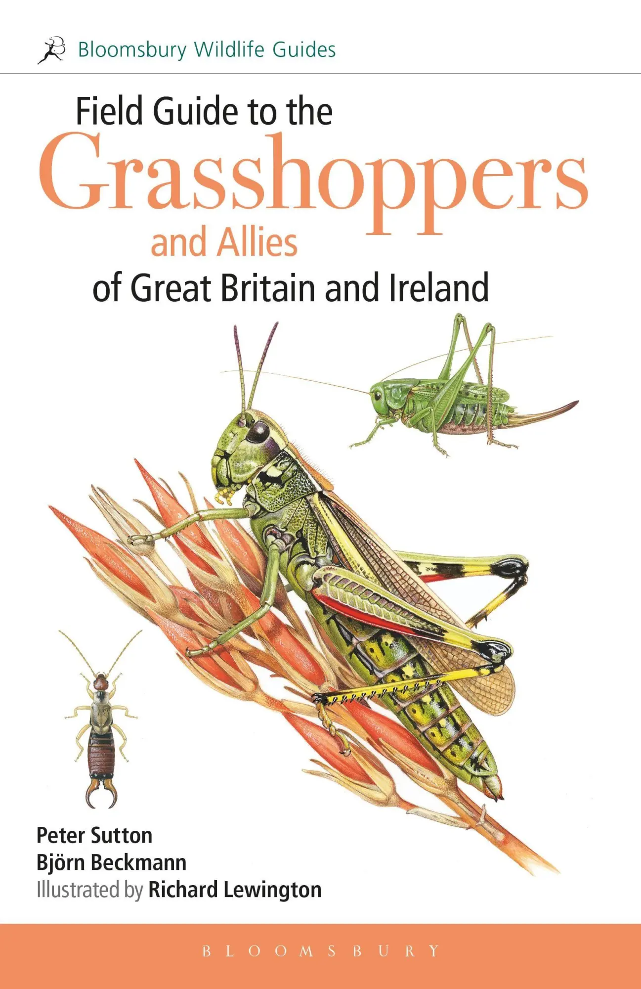 Cover: 9781472976796 | Field Guide to the Grasshoppers and Allies of Great Britain and...