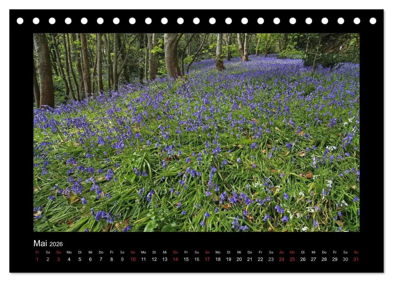 Bild: 9783516186796 | Kanalinseln 2026 (Tischkalender 2026 DIN A5 quer), CALVENDO...