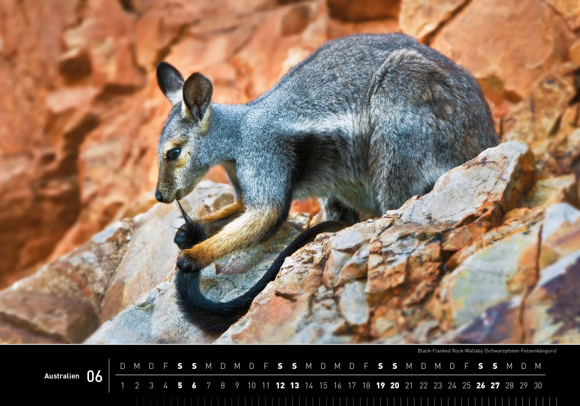 Bild: 9783968556796 | Australien Premiumkalender 2027 | Ingo Öland | Kalender | 14 S. | 2027