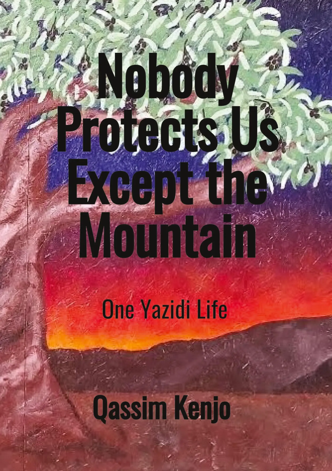 Cover: 9783384716996 | Nobody Protects Us Except the Mountain | One Yazidi Life | Taschenbuch