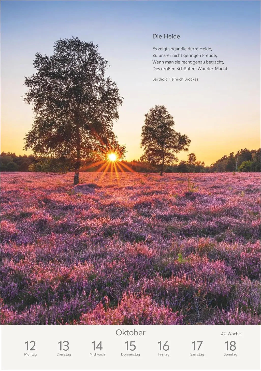 Bild: 9783840036996 | Literaturkalender Natur Wochen-Kulturkalender 2026 | Ruth Dangelmeier