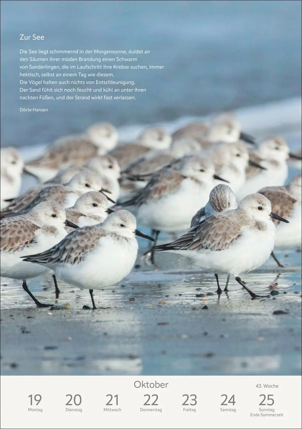 Bild: 9783840036996 | Literaturkalender Natur Wochen-Kulturkalender 2026 | Ruth Dangelmeier