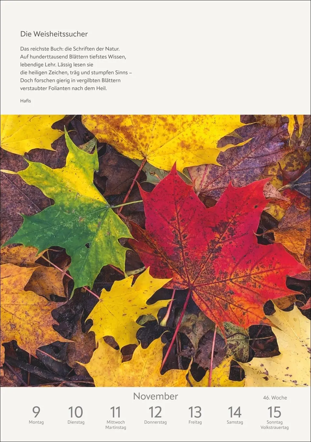 Bild: 9783840036996 | Literaturkalender Natur Wochen-Kulturkalender 2026 | Ruth Dangelmeier