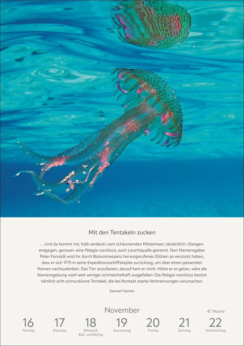 Bild: 9783840036996 | Literaturkalender Natur Wochen-Kulturkalender 2026 | Ruth Dangelmeier
