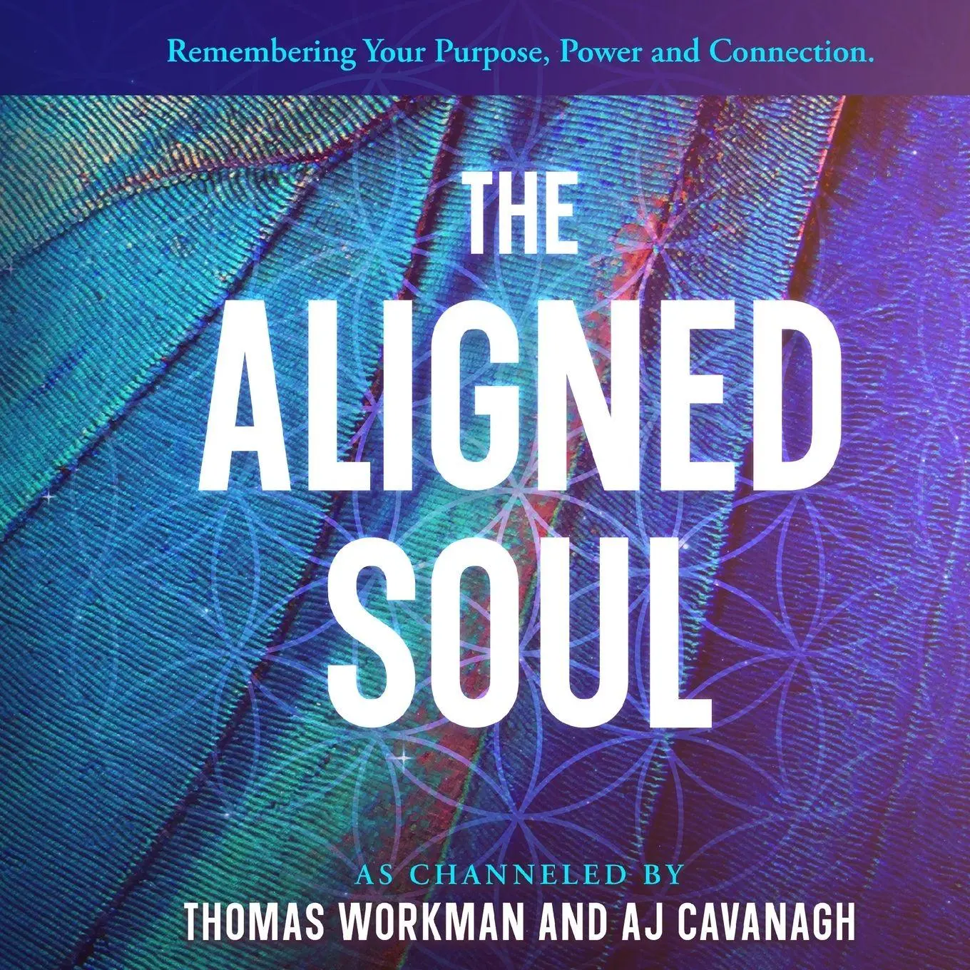 Cover: 9798234026996 | The Aligned Soul | Thomas Workman (u. a.) | Taschenbuch | Englisch