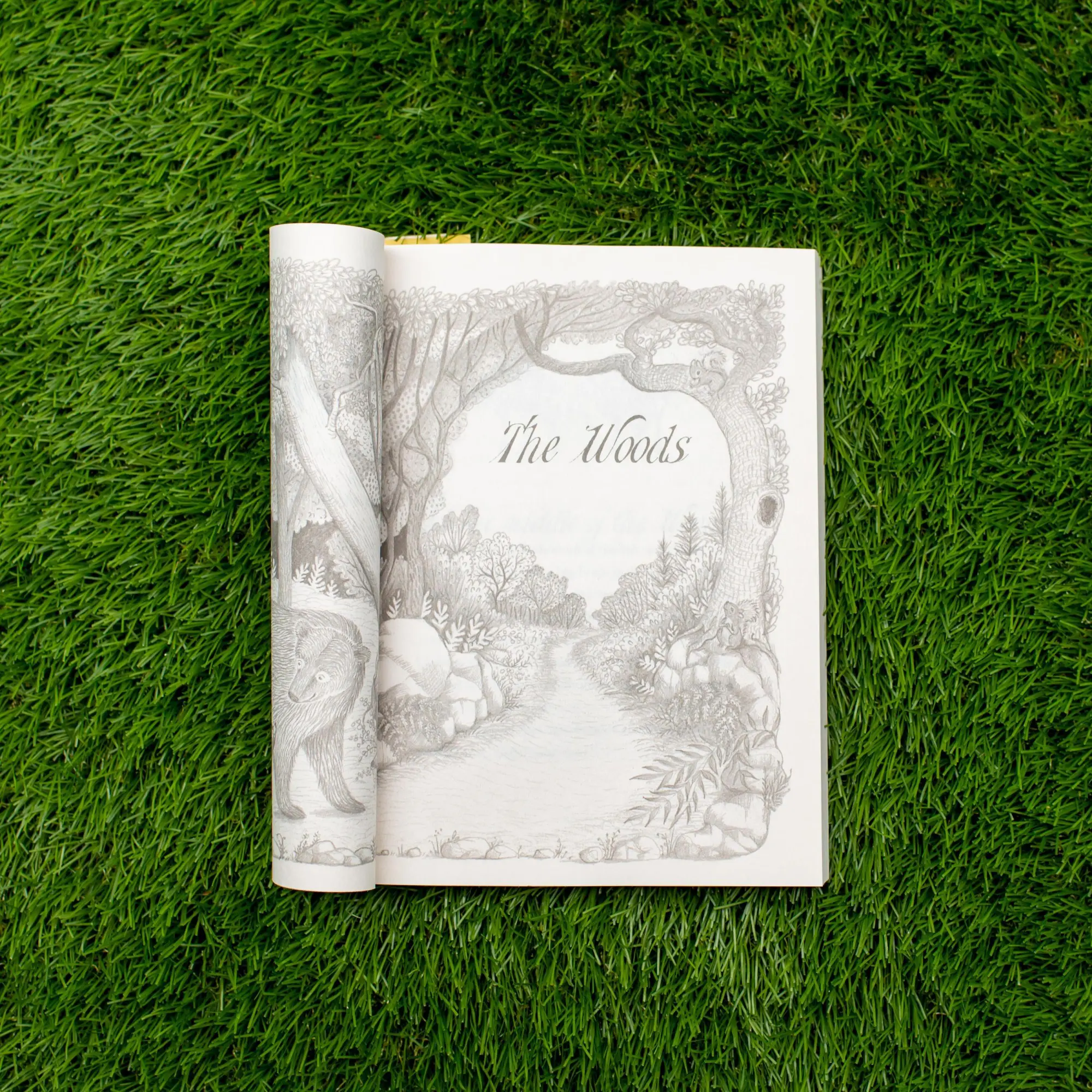 Bild: 9780316447096 | Winnie's Great War | Lindsay Mattick | Taschenbuch | Englisch | 2019